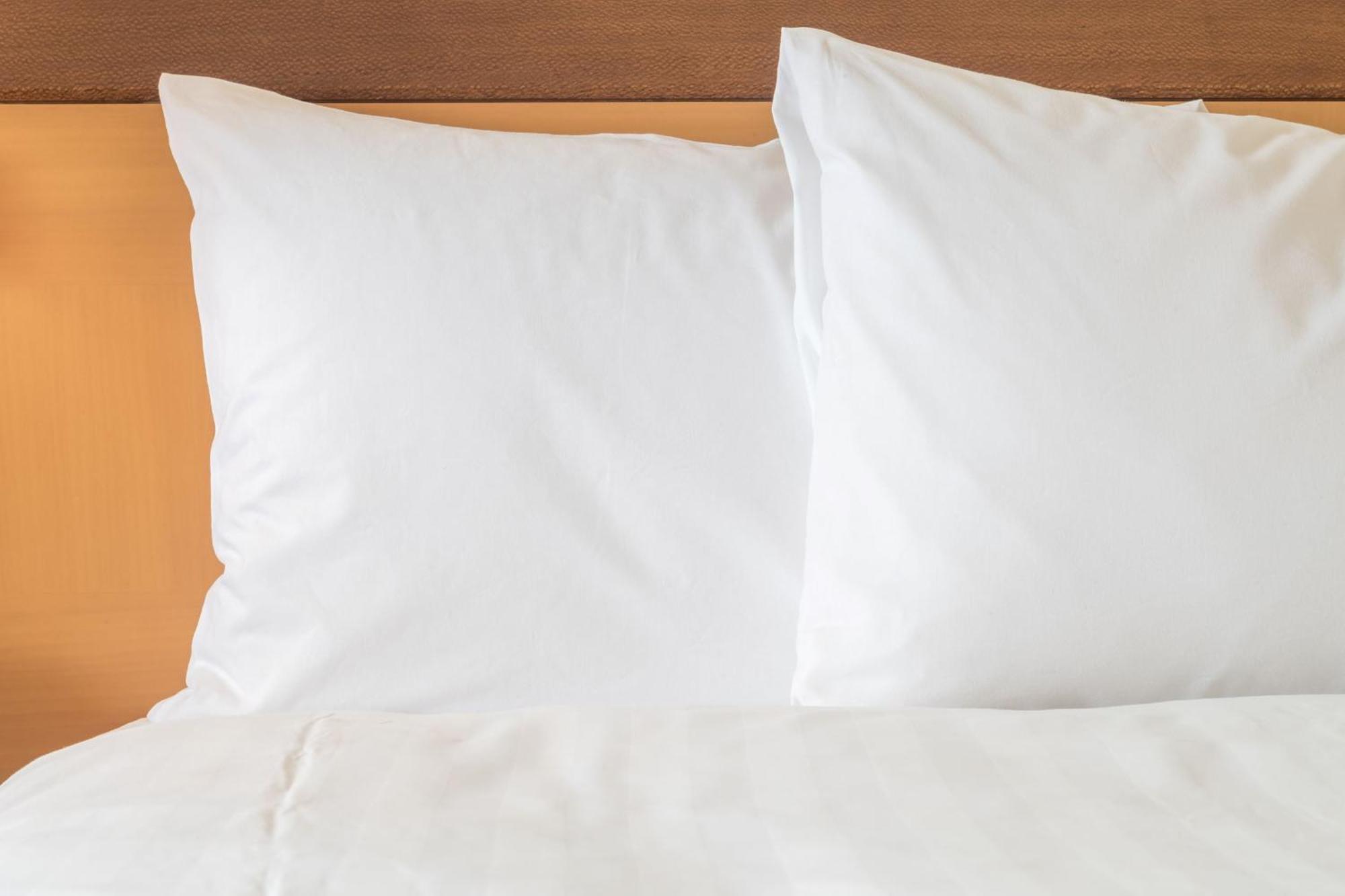 Holiday Inn Virginia Beach - Norfolk By Ihg מראה חיצוני תמונה